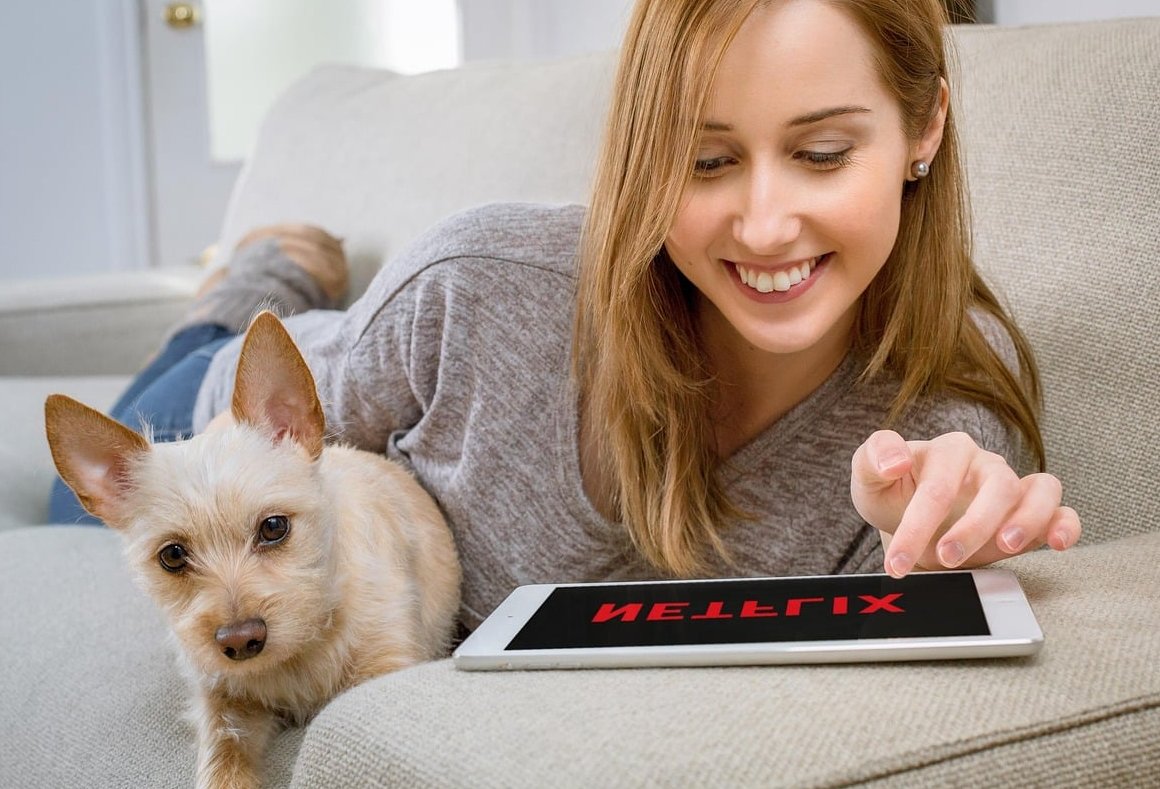 veterinarian examining dog
